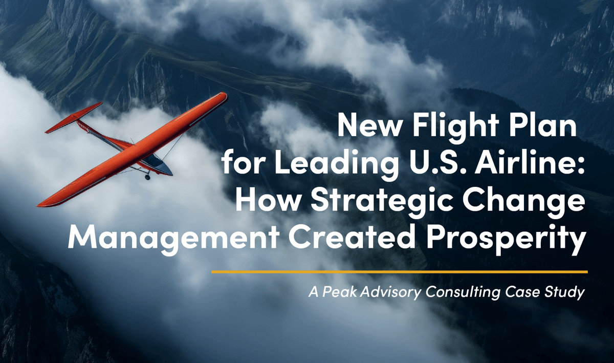 New Flight Plan  for Leading U.S. Airline: How Strategic Change Management Created Prosperity